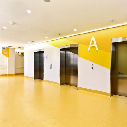 大巨龍多層復合pvc地板