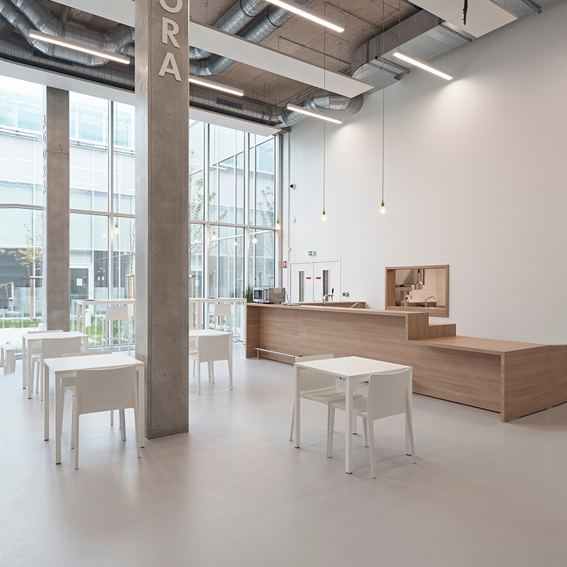 大巨龍耶利亞地板