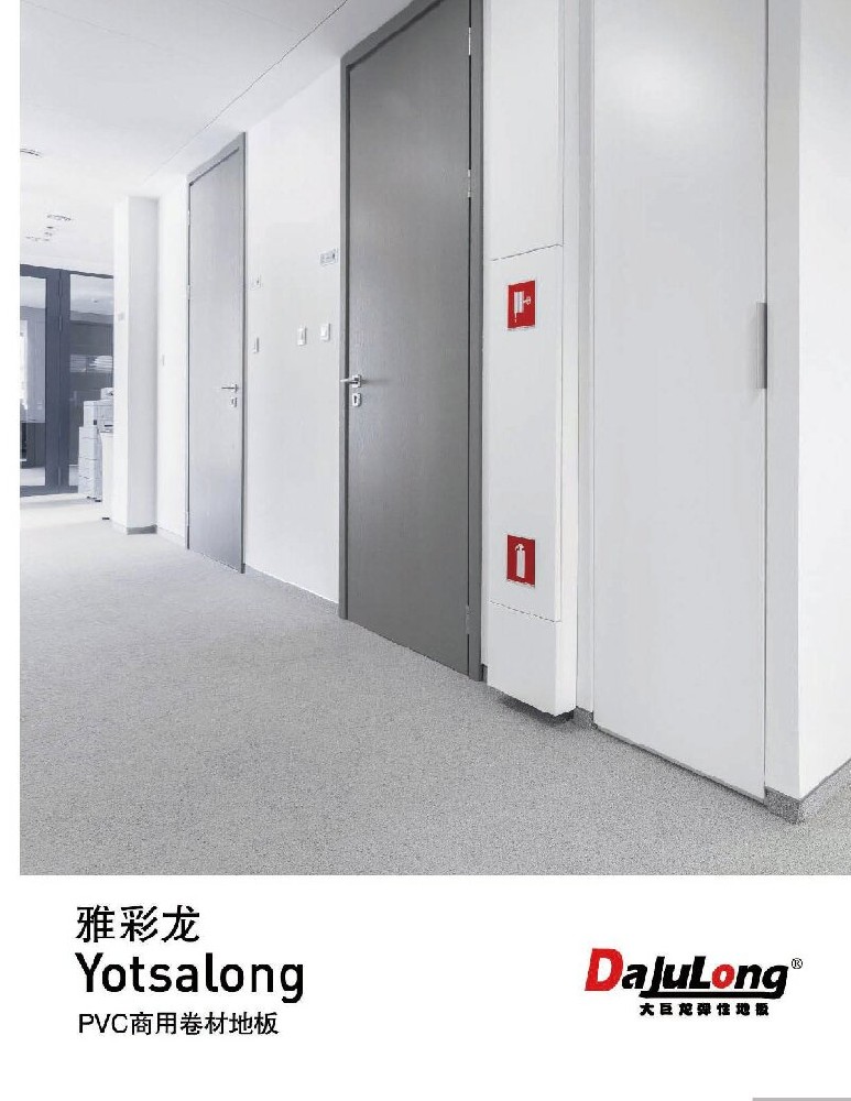 大巨龍雅彩龍文件下載