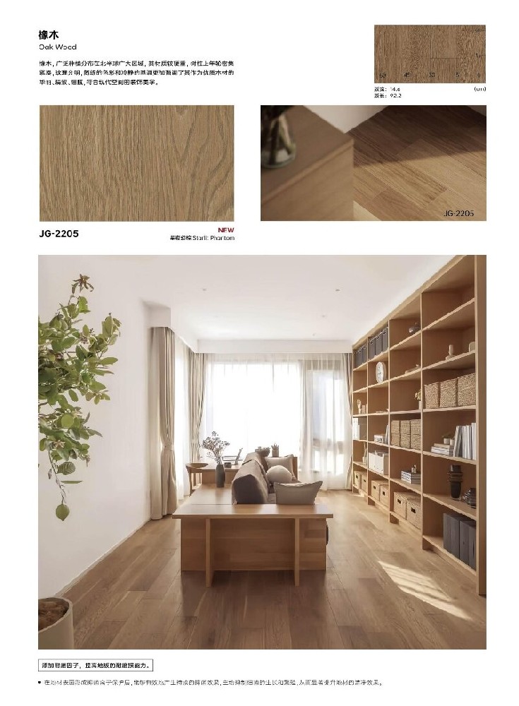 大巨龍林嵐文件下載